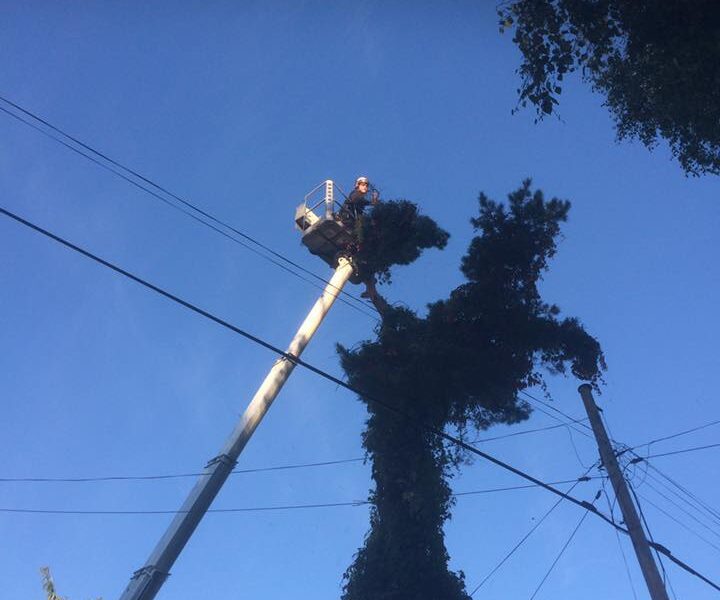 464181193_3297711223696277_7799888766742932597_n-720x600 464181193_3297711223696277_7799888766742932597_n-720x600